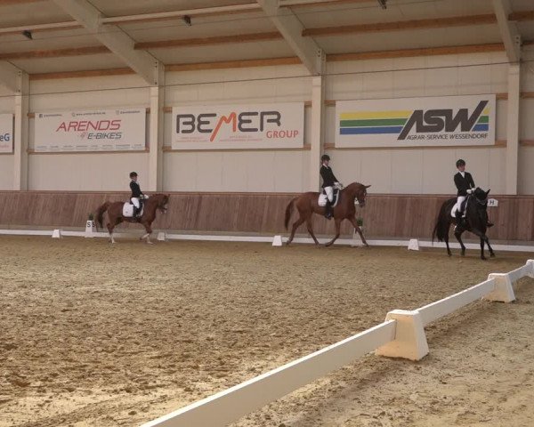 Reitturnier Ochtrup 2023