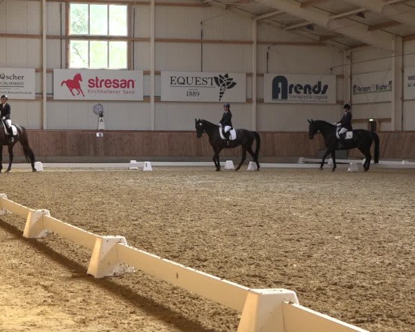 Reitturnier Ochtrup 2023