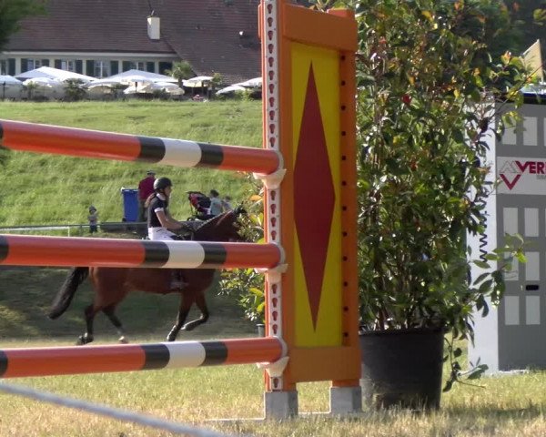 Reitturnier Meilen 2023