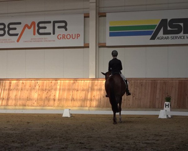 Reitturnier Ochtrup 2023