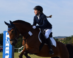 Springpferd Litti (Deutsches Reitpony, 2013, von Hesselteichs Grimaldi)