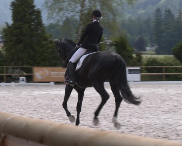 Reitturnier St. Ulrich am Pillersee 2023