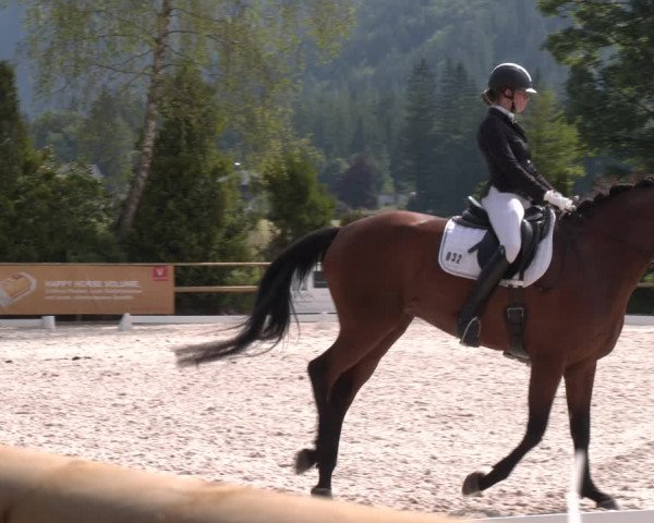 Reitturnier St. Ulrich am Pillersee 2023