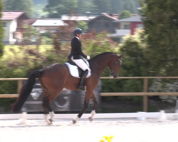 Reitturnier St. Ulrich am Pillersee 2023