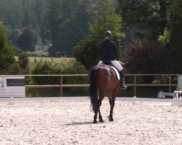 Reitturnier St. Ulrich am Pillersee 2023