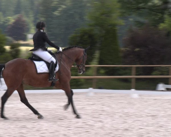 Reitturnier St. Ulrich am Pillersee 2023