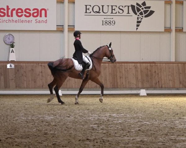 Reitturnier Ochtrup 2023