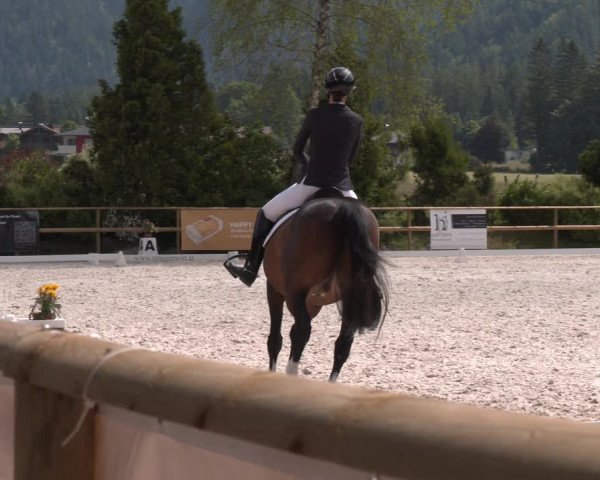 Reitturnier St. Ulrich am Pillersee 2023