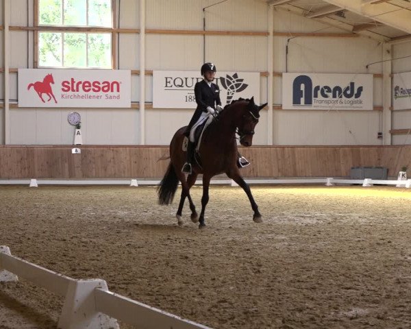 Reitturnier Ochtrup 2023