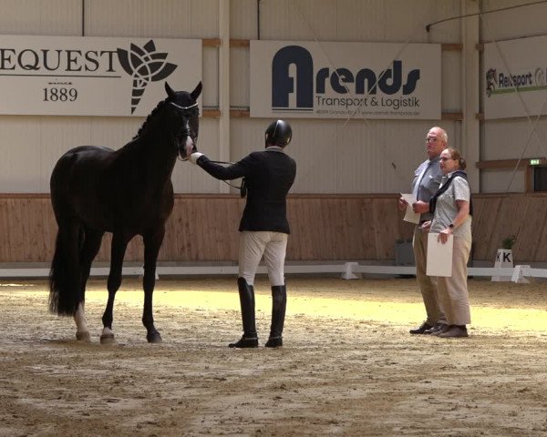 Reitturnier Ochtrup 2023