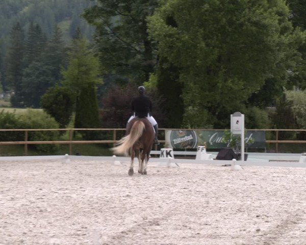 Reitturnier St. Ulrich am Pillersee 2023