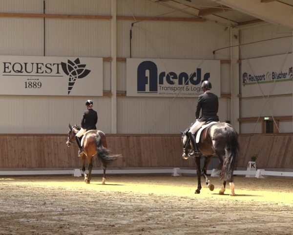 Reitturnier Ochtrup 2023