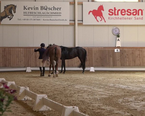 Reitturnier Ochtrup 2023
