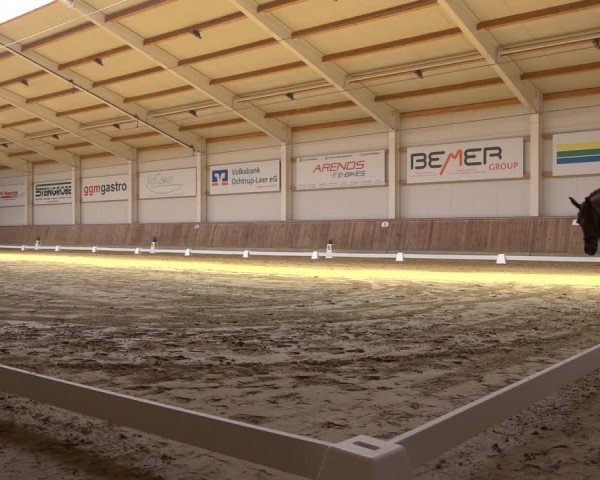 Reitturnier Ochtrup 2023