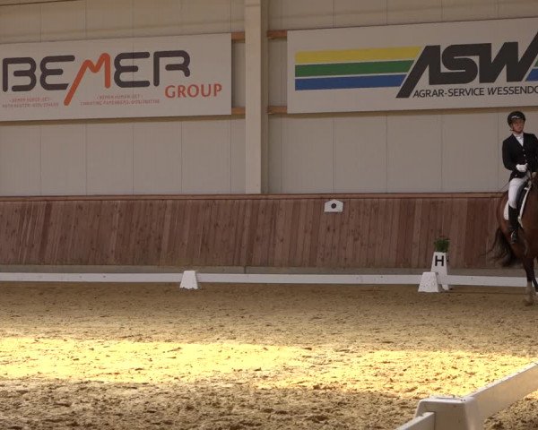 Reitturnier Ochtrup 2023