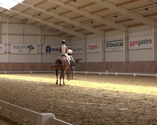 Reitturnier Ochtrup 2023