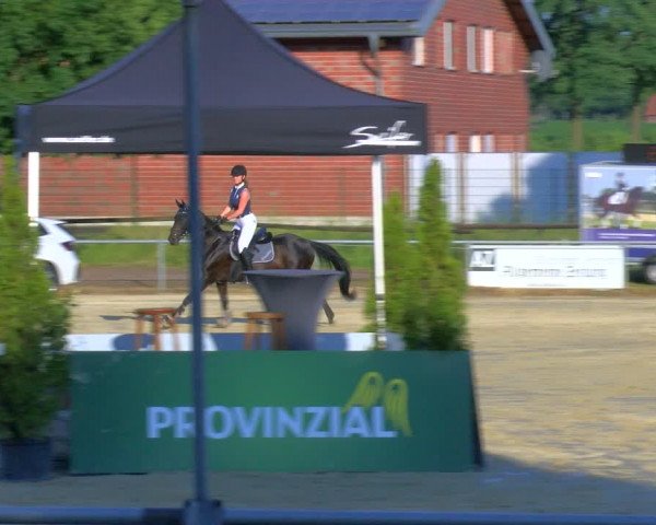 Reitturnier Coesfeld/Lette 2023
