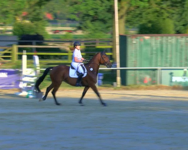 Reitturnier Coesfeld/Lette 2023