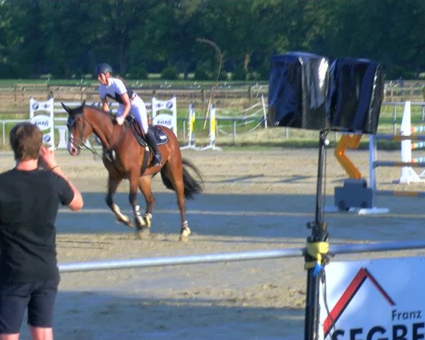 Reitturnier Coesfeld/Lette 2023