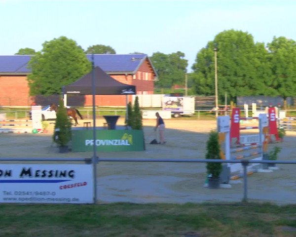 Reitturnier Coesfeld/Lette 2023