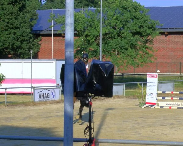 Reitturnier Coesfeld/Lette 2023