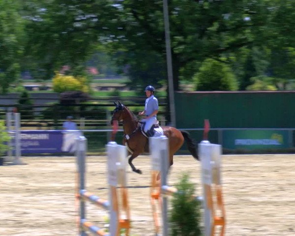 Reitturnier Coesfeld/Lette 2023