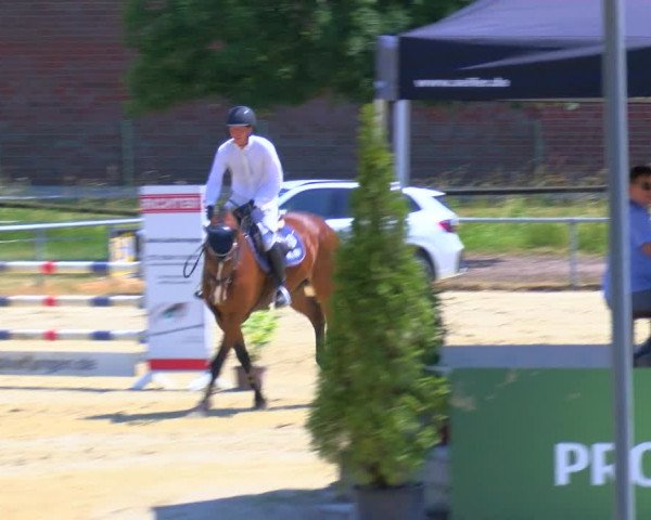 Reitturnier Coesfeld/Lette 2023