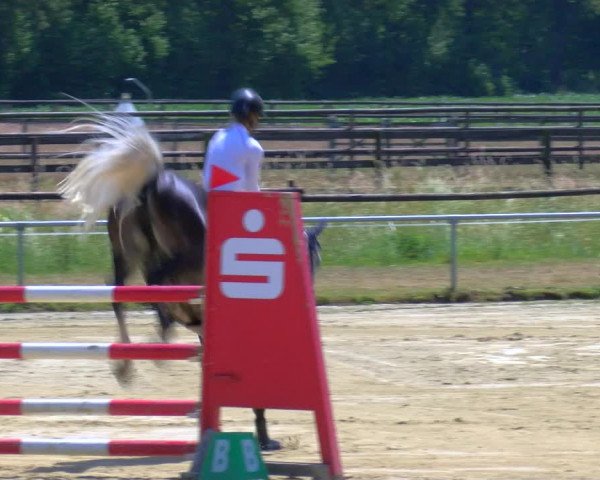 Reitturnier Coesfeld/Lette 2023