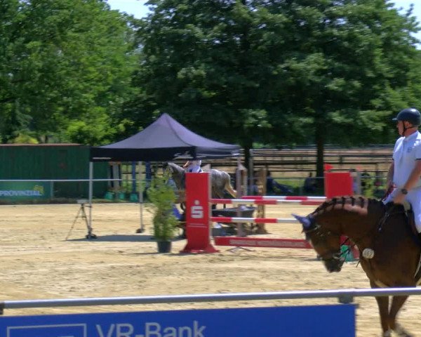 Reitturnier Coesfeld/Lette 2023