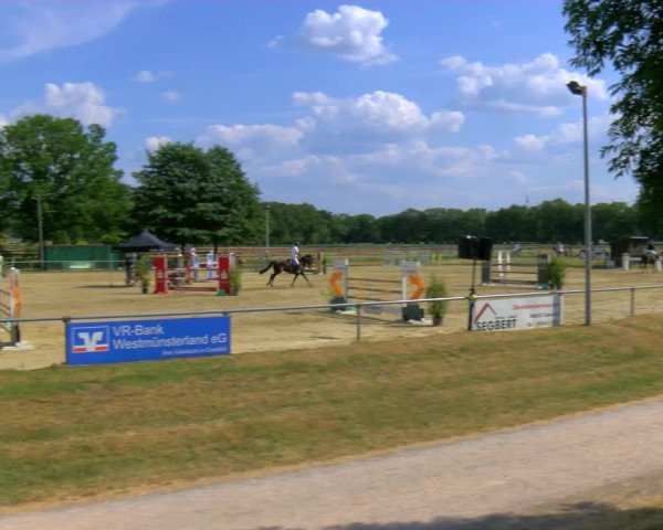 Reitturnier Coesfeld/Lette 2023