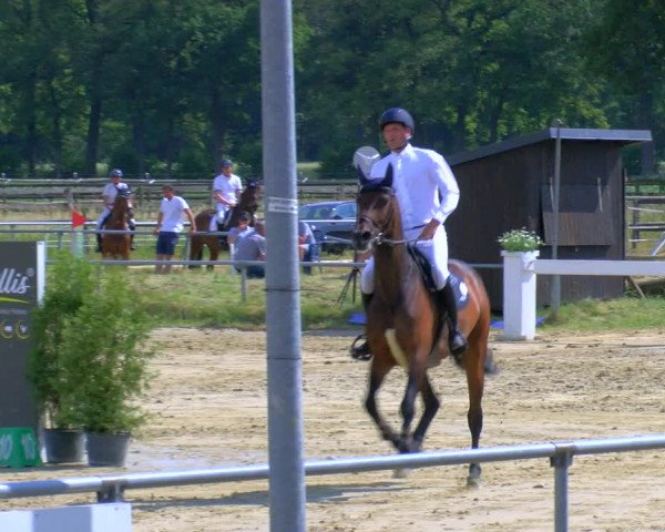 Reitturnier Coesfeld/Lette 2023
