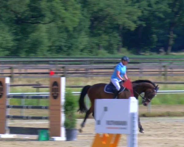 Reitturnier Coesfeld/Lette 2023