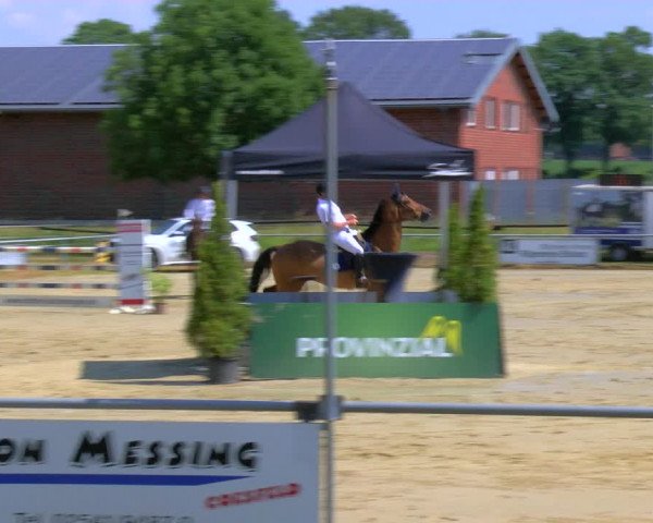 Reitturnier Coesfeld/Lette 2023