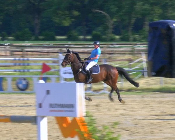 Reitturnier Coesfeld/Lette 2023
