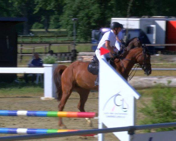Reitturnier Coesfeld/Lette 2023