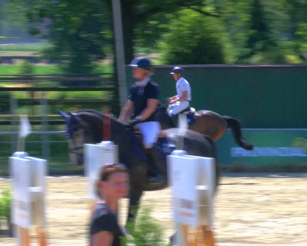 Reitturnier Coesfeld/Lette 2023