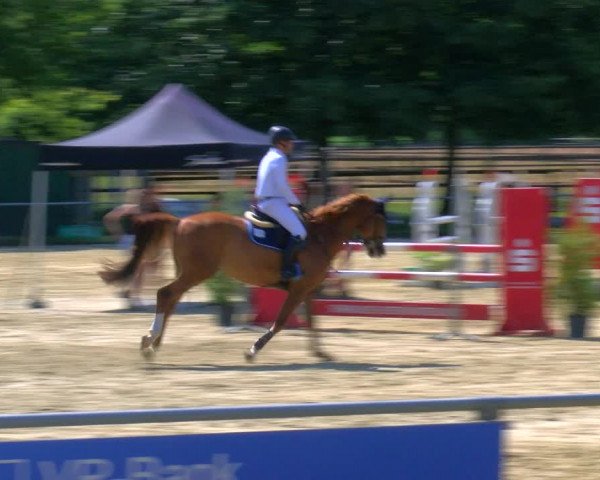 Reitturnier Coesfeld/Lette 2023