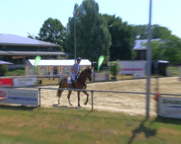 Reitturnier Coesfeld/Lette 2023