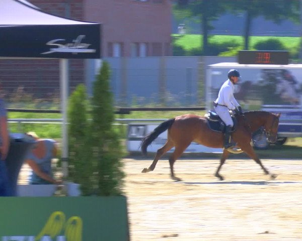 Reitturnier Coesfeld/Lette 2023