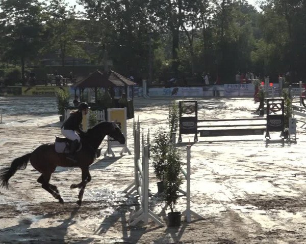 Reitturnier Ochtrup 2023
