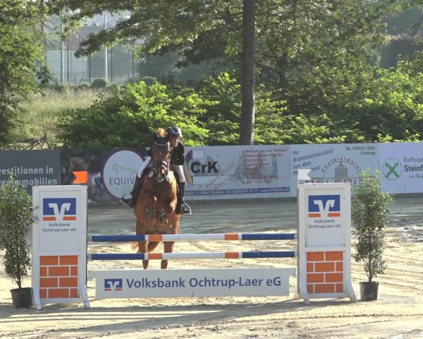 Reitturnier Ochtrup 2023