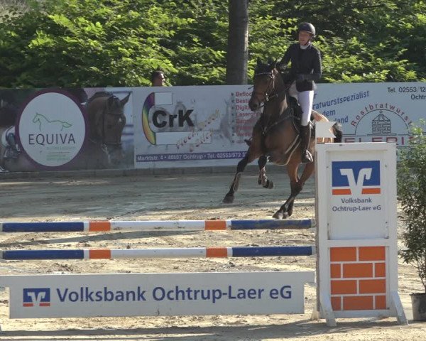 Reitturnier Ochtrup 2023