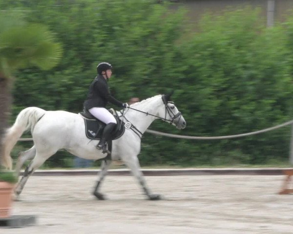 Reitturnier Handorf 2023