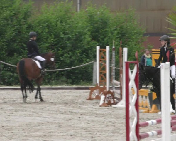 Reitturnier Handorf 2023