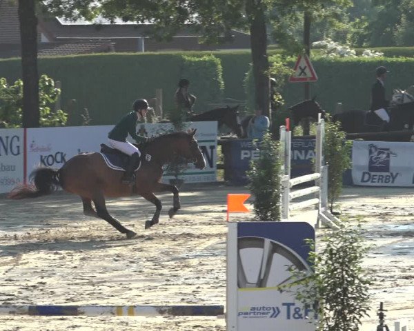 Reitturnier Ochtrup 2023