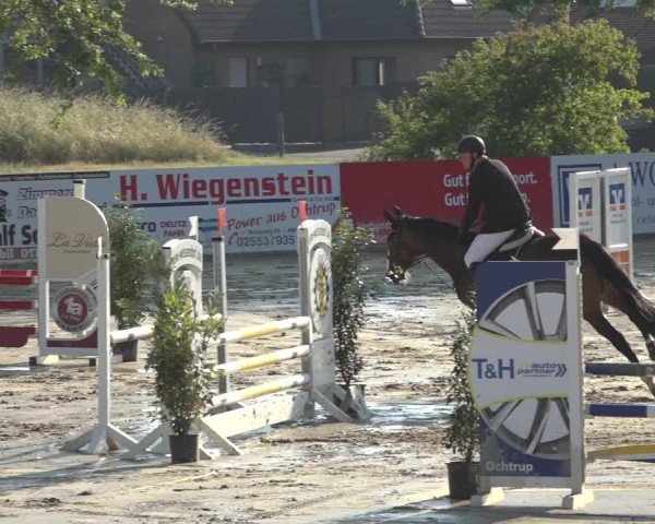 Reitturnier Ochtrup 2023