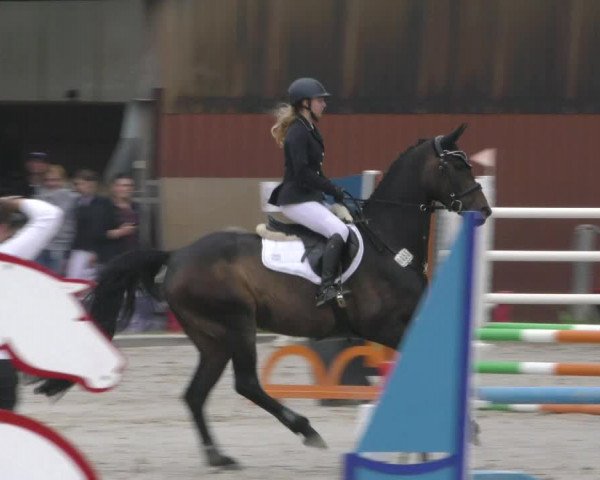 Reitturnier Handorf 2023