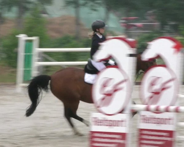Reitturnier Handorf 2023