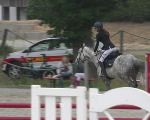 Reitturnier Handorf 2023