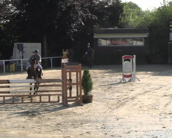 Reitturnier Fröndenberg 2023